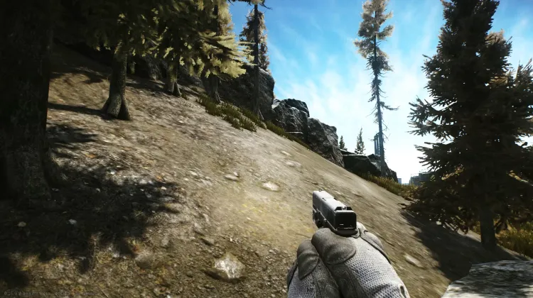 Punto de Aparición (PMC)