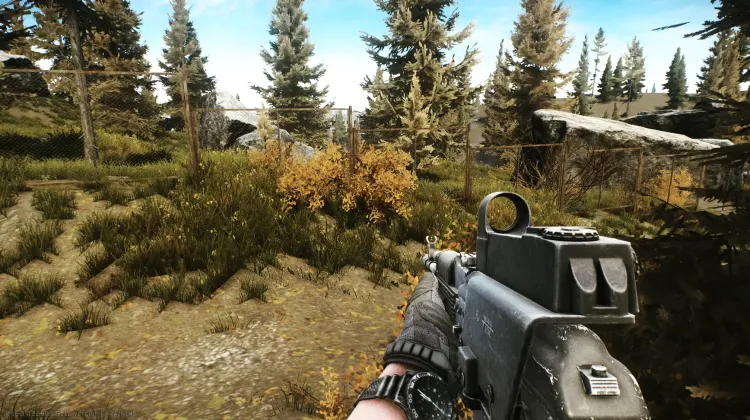 Punto de Aparición (PMC)