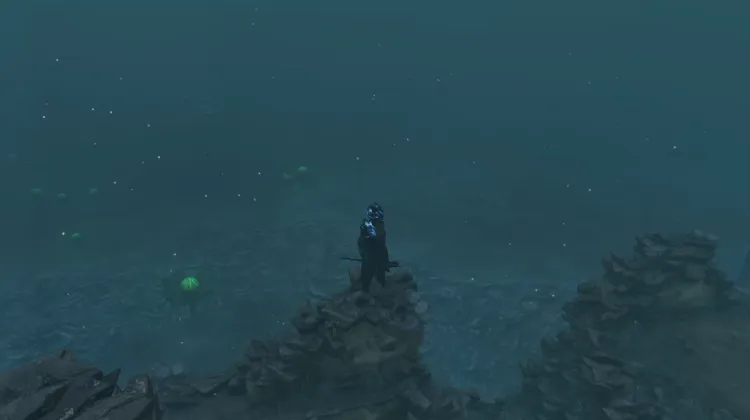 Moisissure Noire Derrière un Mur Sec