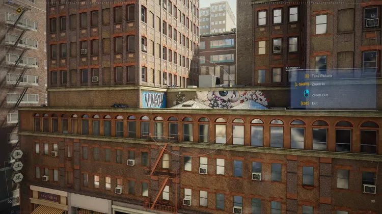 Pengintaian Kucing Hitam