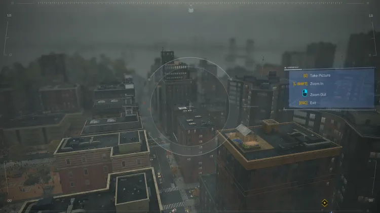 Pengintaian Kucing Hitam