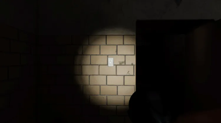Light Switch