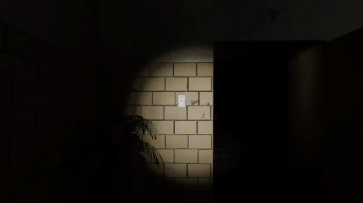 Light Switch