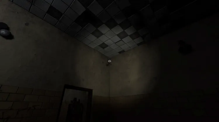 CCTV Camera