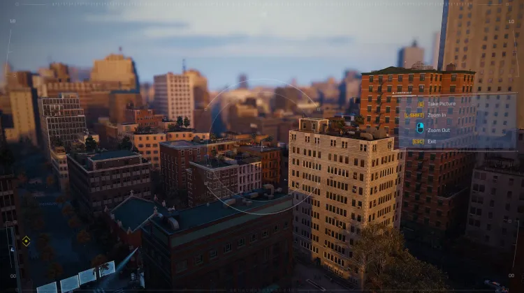 Pengintaian Kucing Hitam