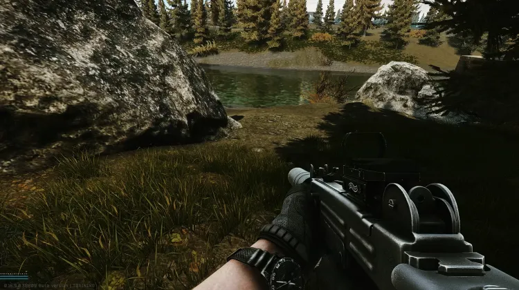 Punto de Aparición (PMC)