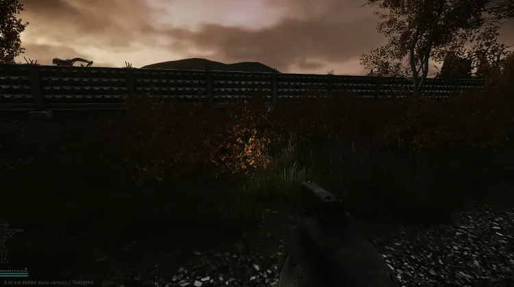 Punto de Aparición (PMC)