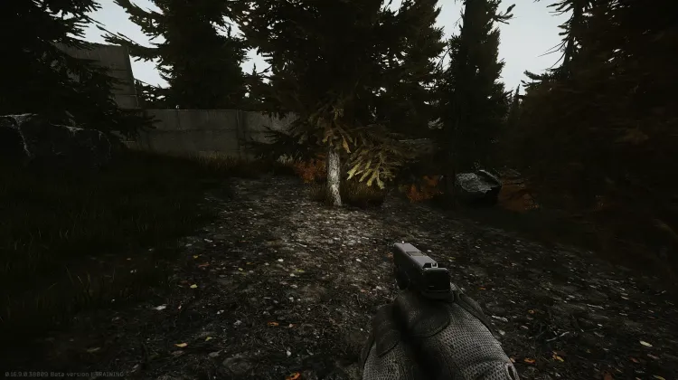 Punto de Aparición (PMC)