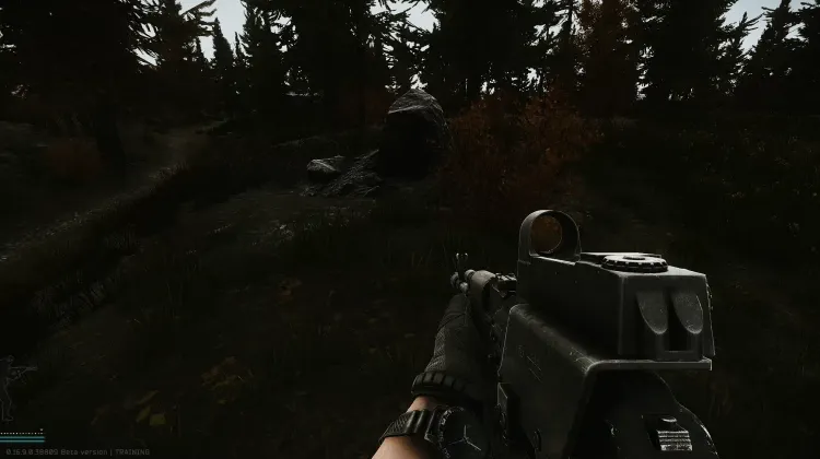 Punto de Aparición (PMC)