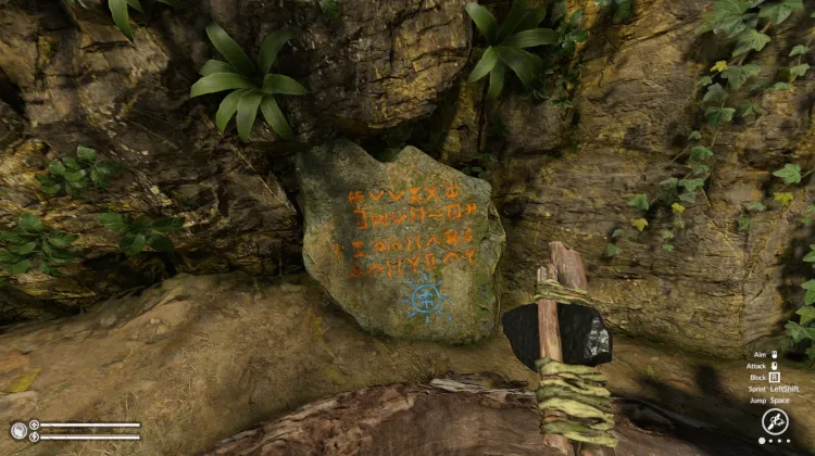 Gaben des Dschungels