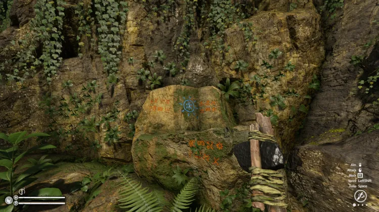 Gaben des Dschungels