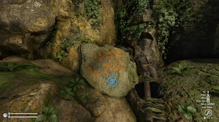 Gaben des Dschungels