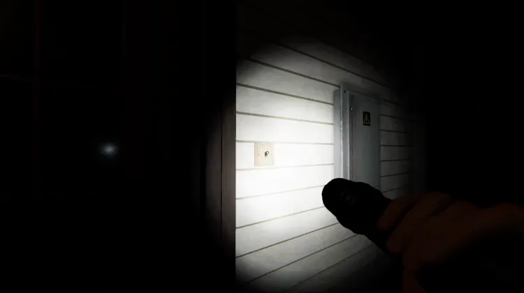 Luz