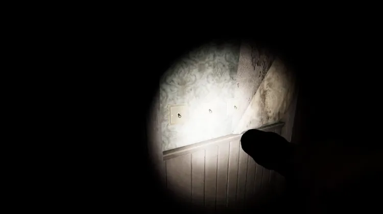 Interruptor de Luz