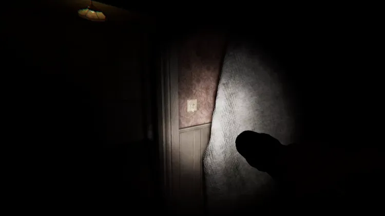 Luz