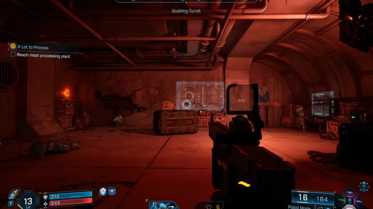 Cache de Sobrevivencialista