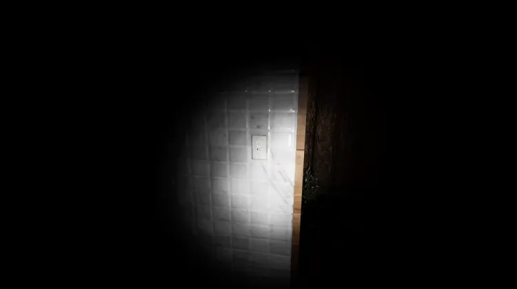 Interruptor de Luz