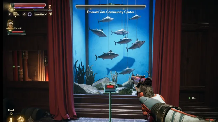 Saltuna (Salmonidae Salinis)