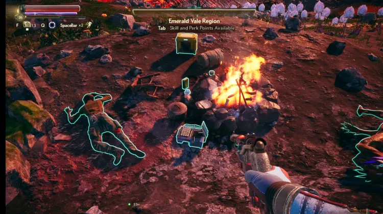 Etoloji Günlüğü: Pteroray Çiftleşme Alışkanlıkları