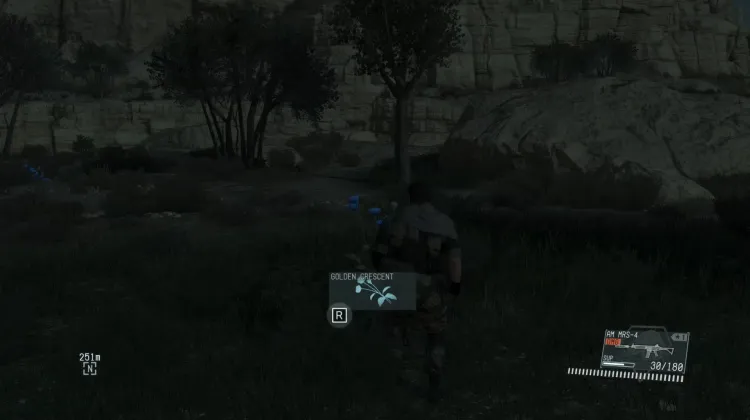 Golden Crescent (3x)