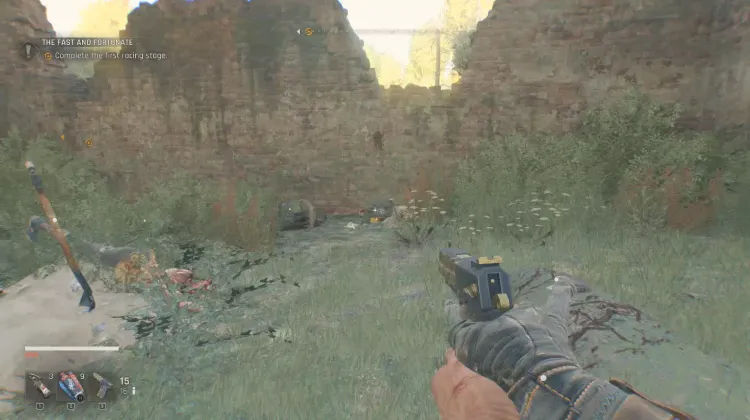 Orden para el Sargento Schneider