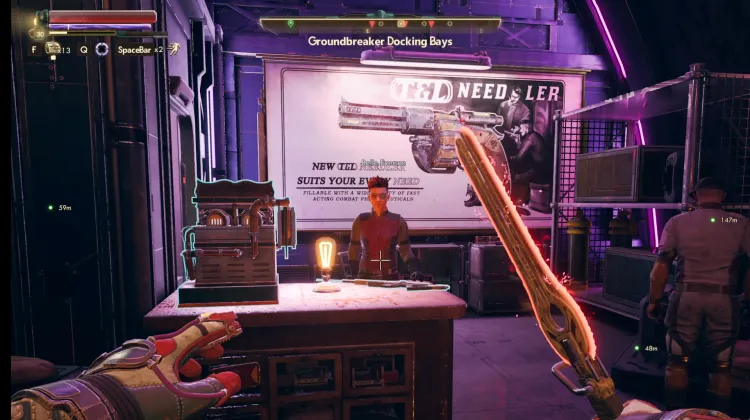 Coquillages de Belle