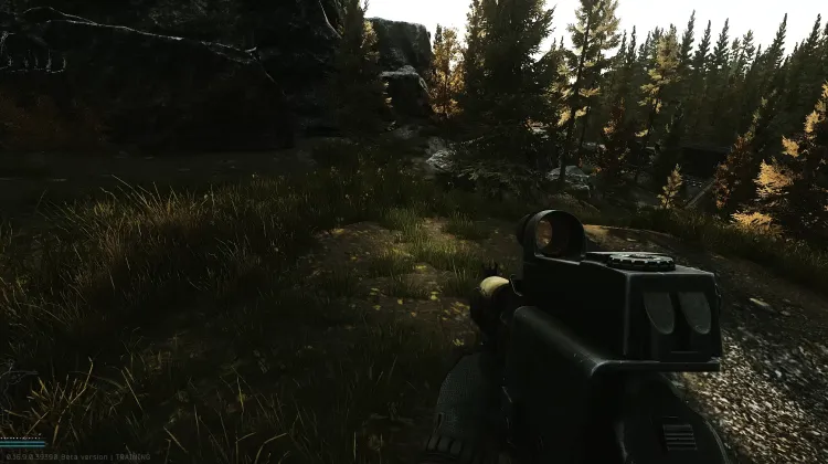 Punto de Aparición (PMC)