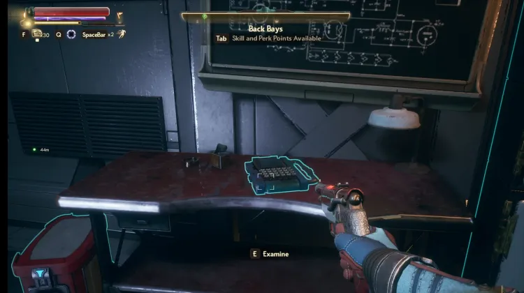 Nachwuchs-Mykologen-Logbuch