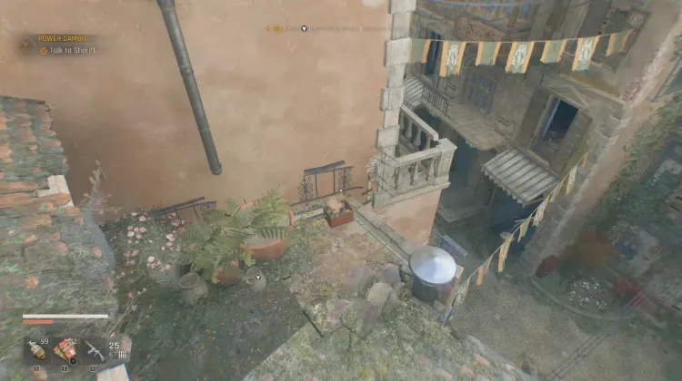 Dimana Burung-burungnya?