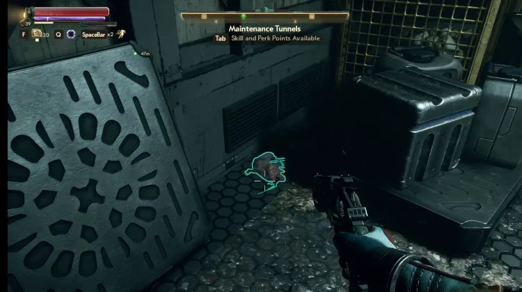 Sprat: Eveighlynn Ensley Okoye