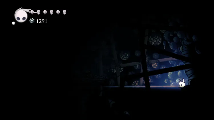 Ermitaño Casualidad