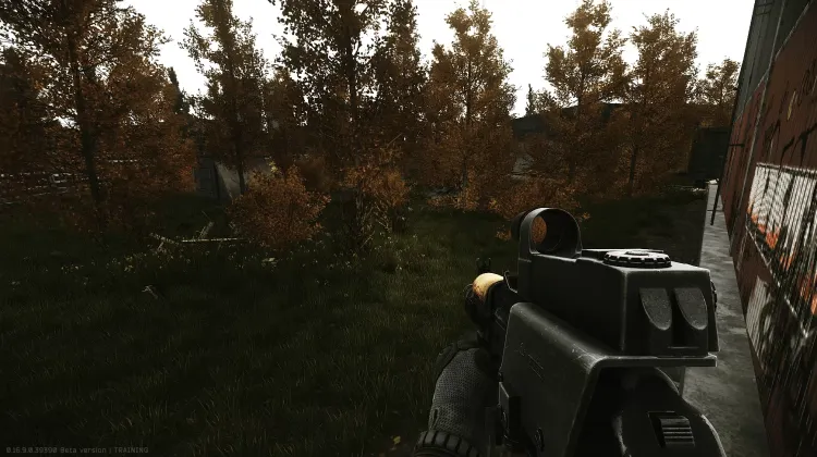 Punto de Aparición (PMC)