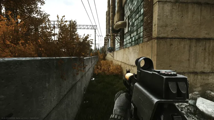 Punto de Aparición (PMC)