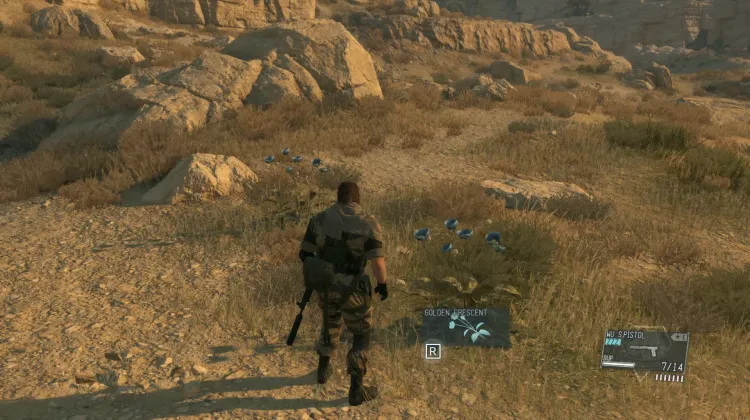 Golden Crescent (2x)