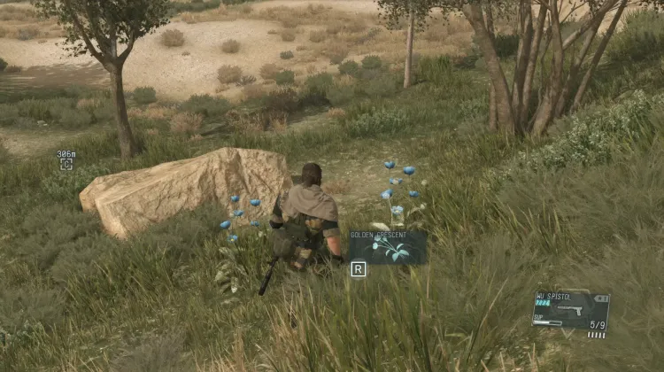 Golden Crescent (2x)