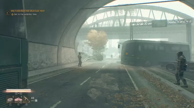 Uno Voló Sobre el Nido del Volátil