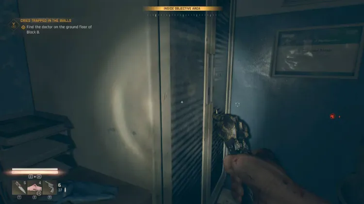 Mental Asylum - Medical Data: Iris Voyter