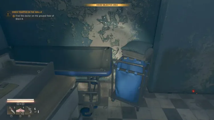 Mental Asylum - Medical Data: Ray Sato