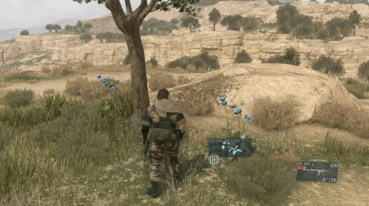 Golden Crescent (2x)