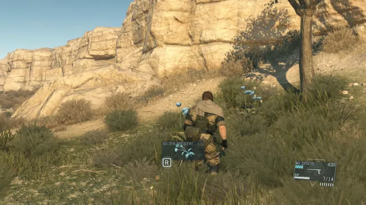 Golden Crescent (2x)