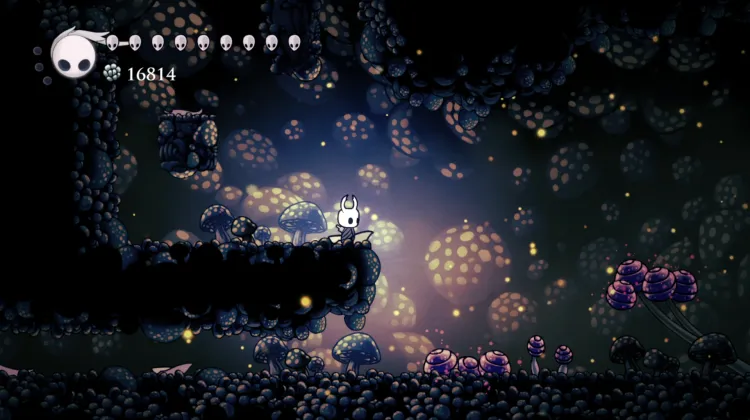 Señor Hongo : Primera Ubicación