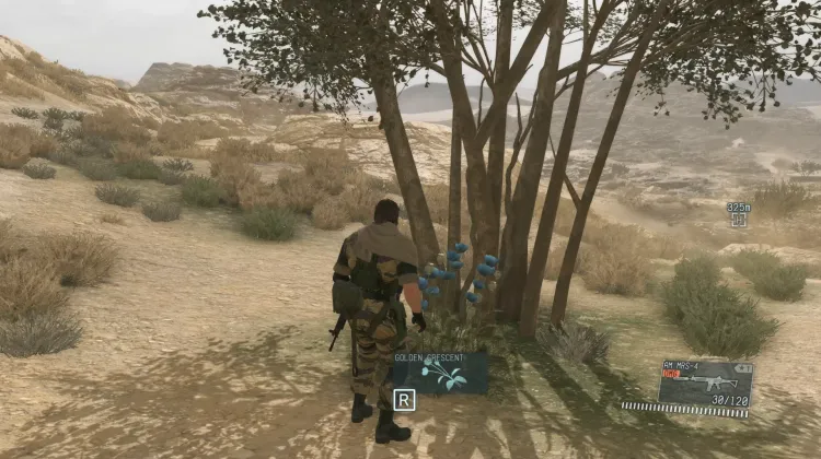 Golden Crescent (2x)