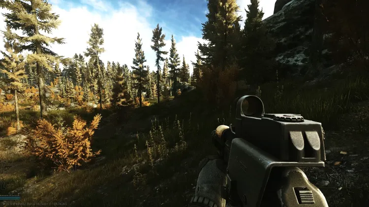 Punto de Aparición (PMC)