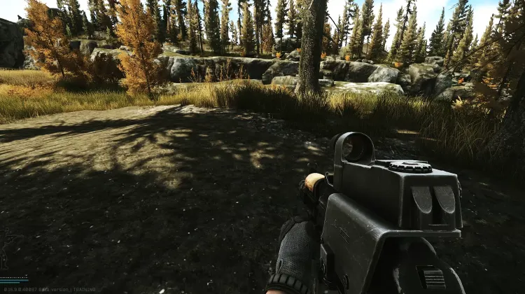 Punto de Aparición (PMC)