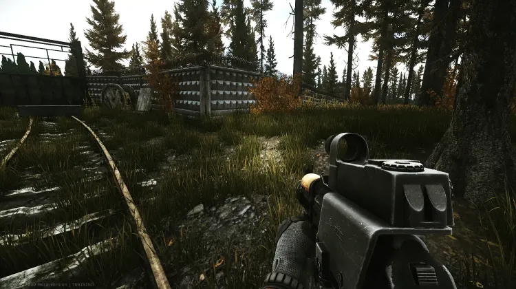 Punto de Aparición (PMC)