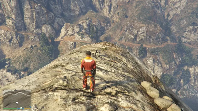 Plongée du Rocher Rasoir