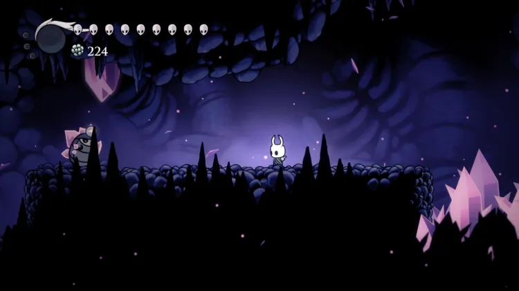 Carapace Cristallisée