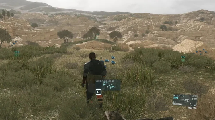 Golden Crescent (3x)