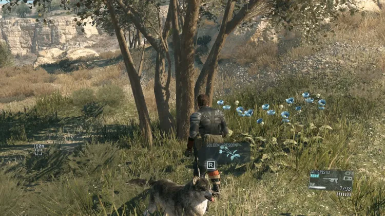 Golden Crescent (3x)