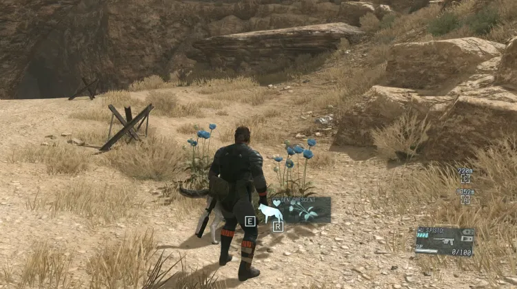 Golden Crescent (2x)